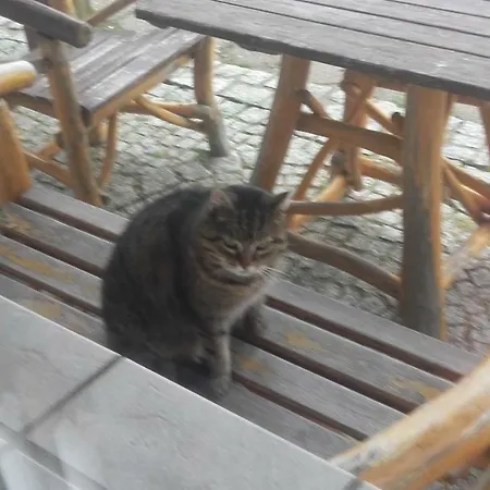 Willa Urocza Pensión