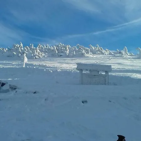 Pensión Willa Urocza