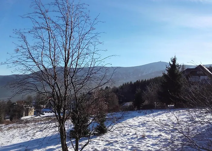 بيت ضيافة Willa Urocza