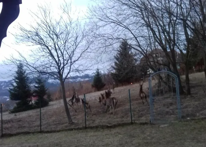 بيت ضيافة Willa Urocza كارباش