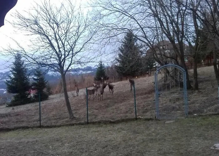 بيت ضيافة Willa Urocza *