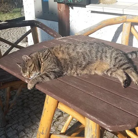 Gasthuis Willa Urocza *