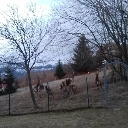 Gasthuis Willa Urocza Karpacz