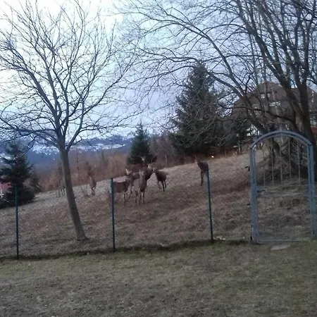 Gasthuis Willa Urocza *