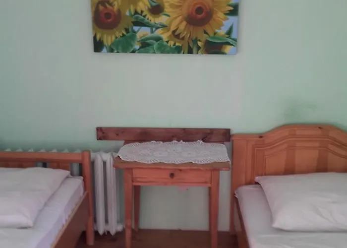 게스트하우스 Willa Urocza 카르파츠