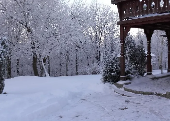 Willa Urocza 게스트하우스 카르파츠