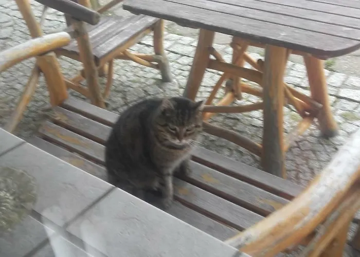 Willa Urocza 게스트하우스