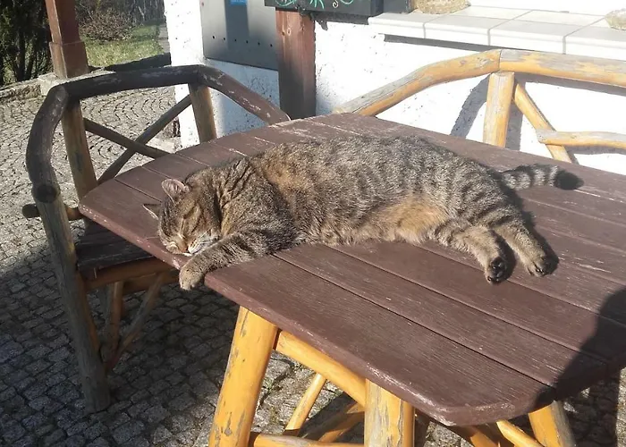 Affittacamere Willa Urocza *