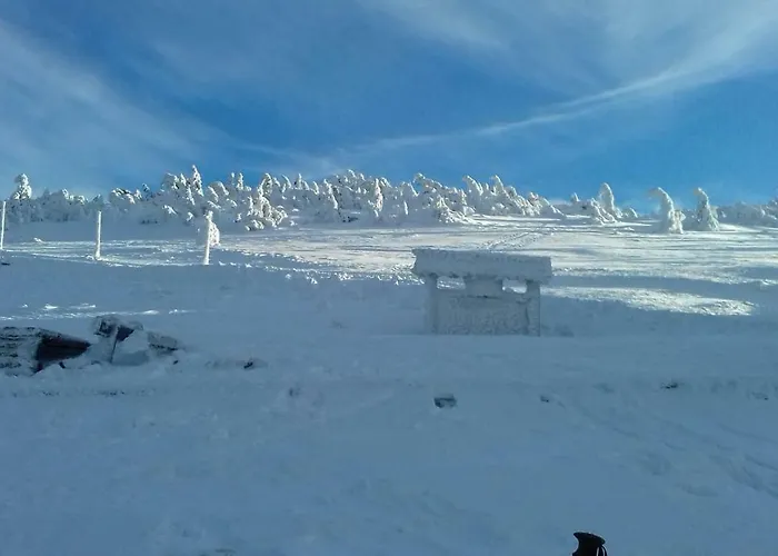 Гостевой дом Willa Urocza