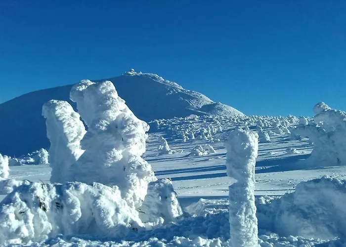 Willa Urocza 게스트하우스 *