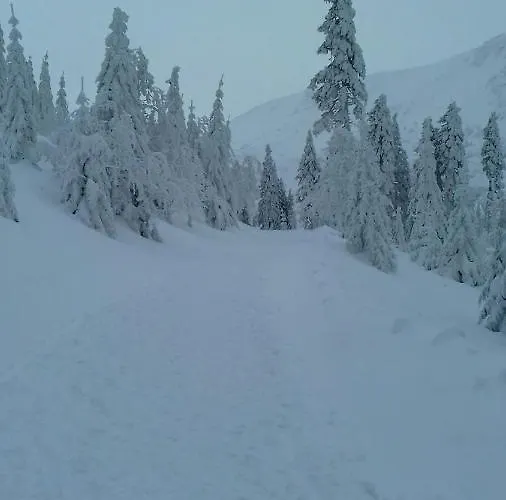 Affittacamere Willa Urocza *