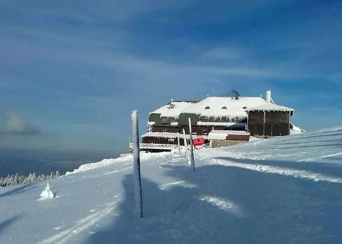 게스트하우스 Willa Urocza